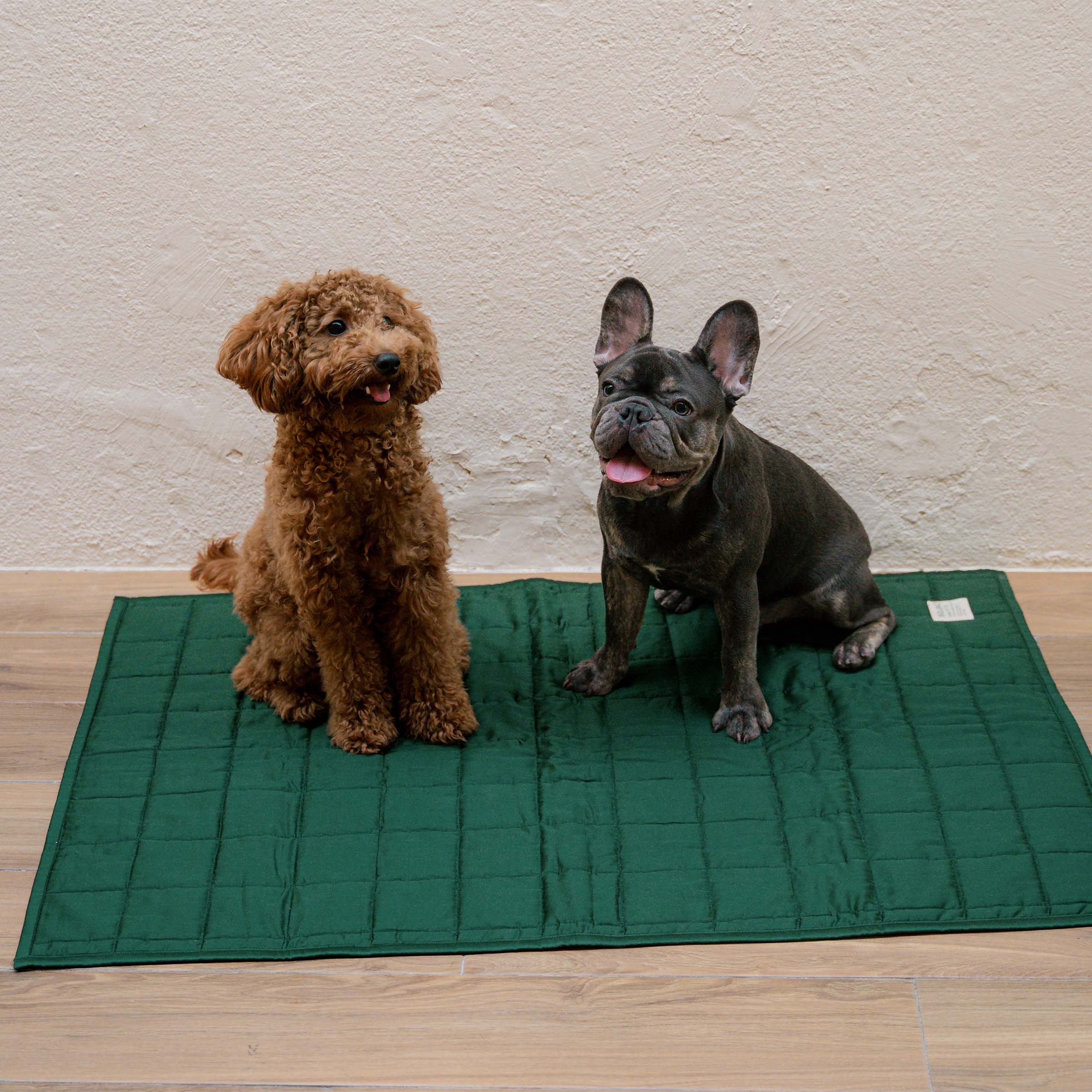 Organic Cotton Pet Quilts - Image 7